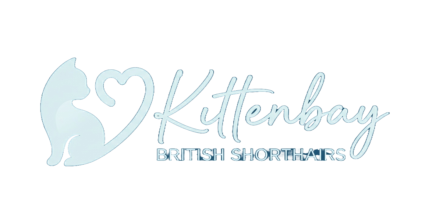 Kittenbay Logo